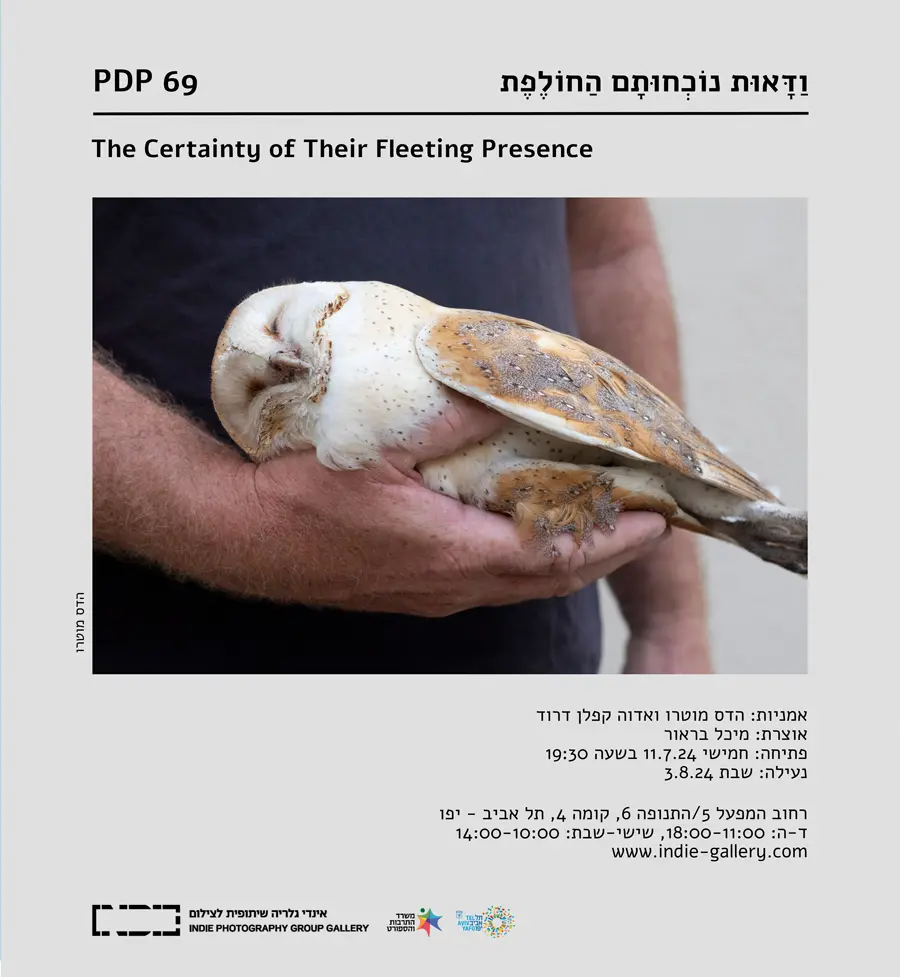 Invitation to the exhibition